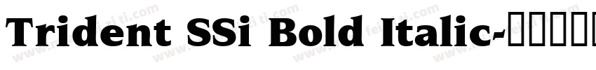 Trident SSi Bold Italic字体转换